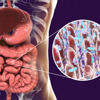 Újra megtalált egyensúly és vitalitás